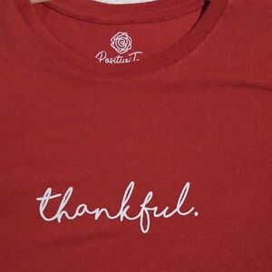 Silky Soft "Thankful" Graphic T-Shirt  XL